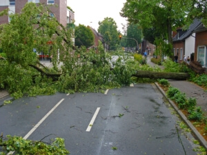 Tornado, Hurricane or Wind Damage Insurance Austin, Texas